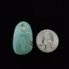 Campitos Turquoise Cabochon