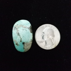 Campitos Turquoise Cabochon