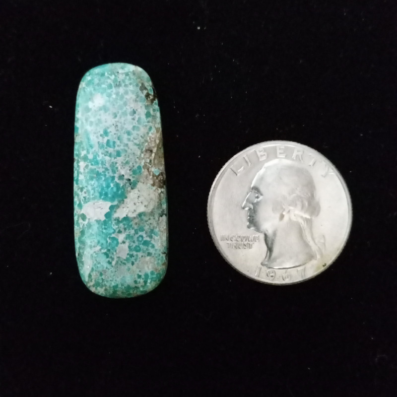 Campitos Turquoise Cabochon