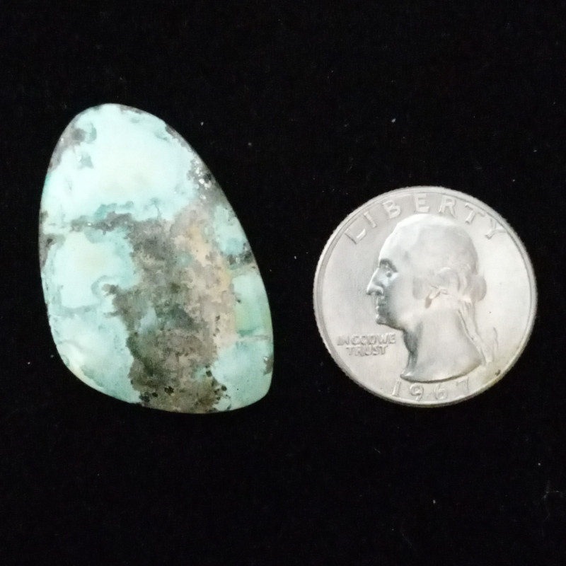 Campitos Turquoise Cabochon