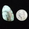 Campitos Turquoise Cabochon