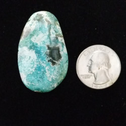 Campitos Turquoise Cabochon