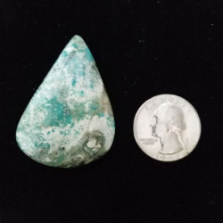 Campitos Turquoise Cabochon