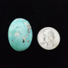 Campitos Turquoise Cabochon