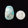 Campitos Turquoise Cabochon