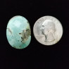 Campitos Turquoise Cabochon