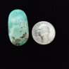 Campitos Turquoise Cabochon