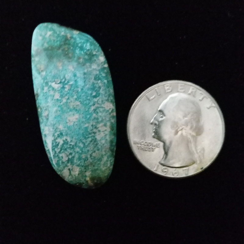 Campitos Turquoise Cabochon